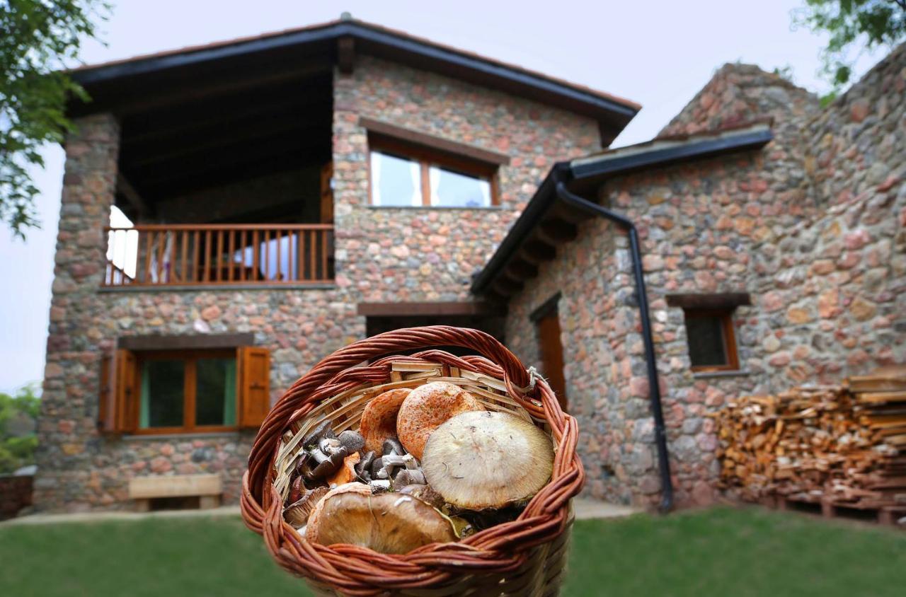 Cal Sansa Villa Cava Dış mekan fotoğraf