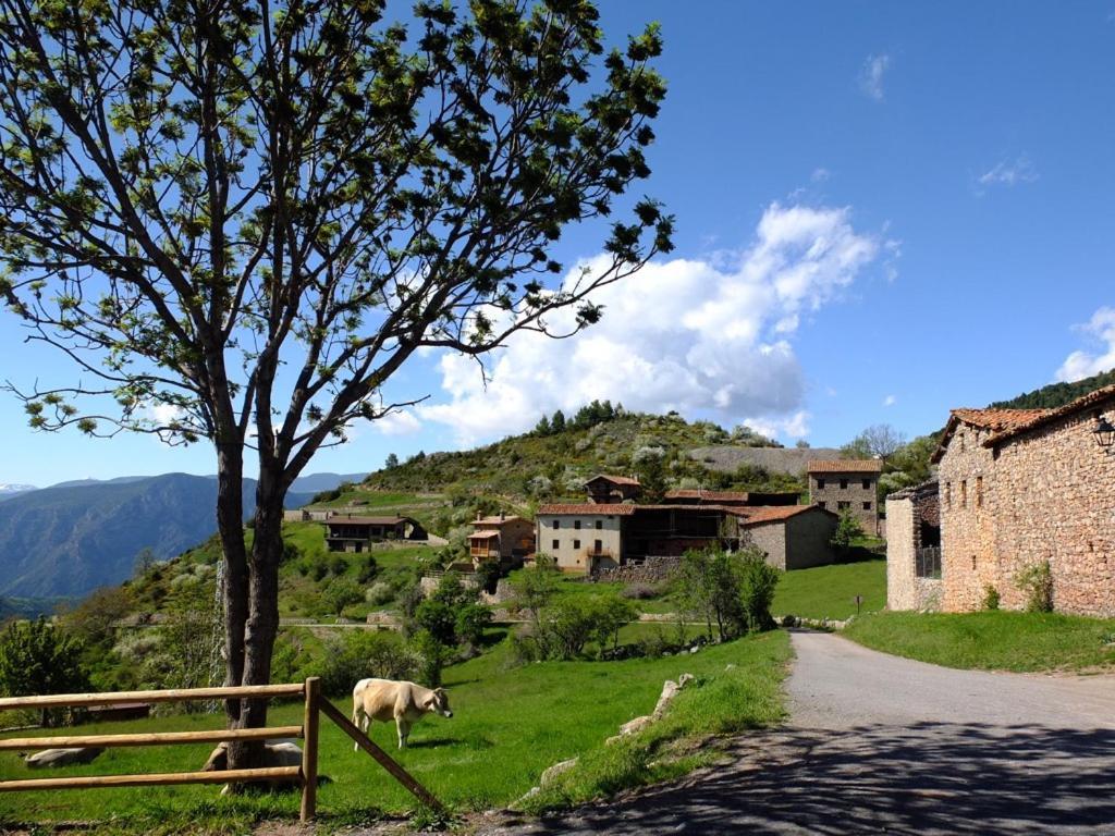 Cal Sansa Villa Cava Dış mekan fotoğraf