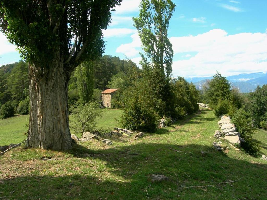 Cal Sansa Villa Cava Dış mekan fotoğraf