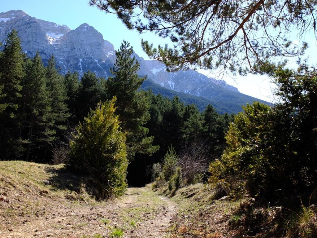 Cal Sansa Villa Cava Dış mekan fotoğraf