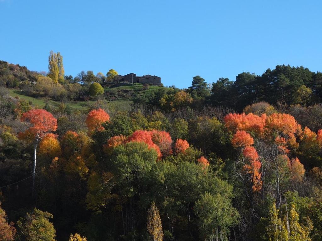 Cal Sansa Villa Cava Dış mekan fotoğraf