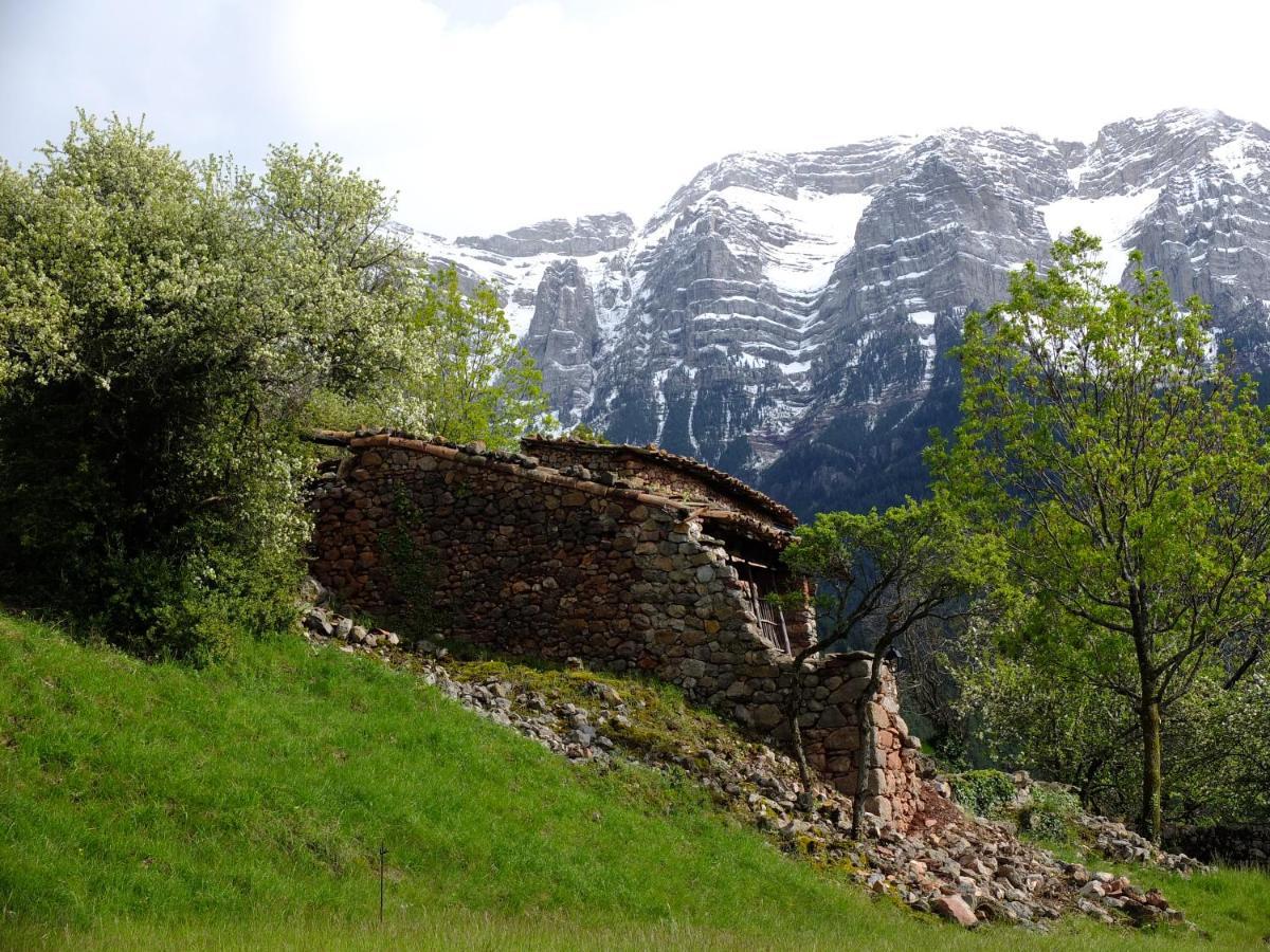 Cal Sansa Villa Cava Dış mekan fotoğraf
